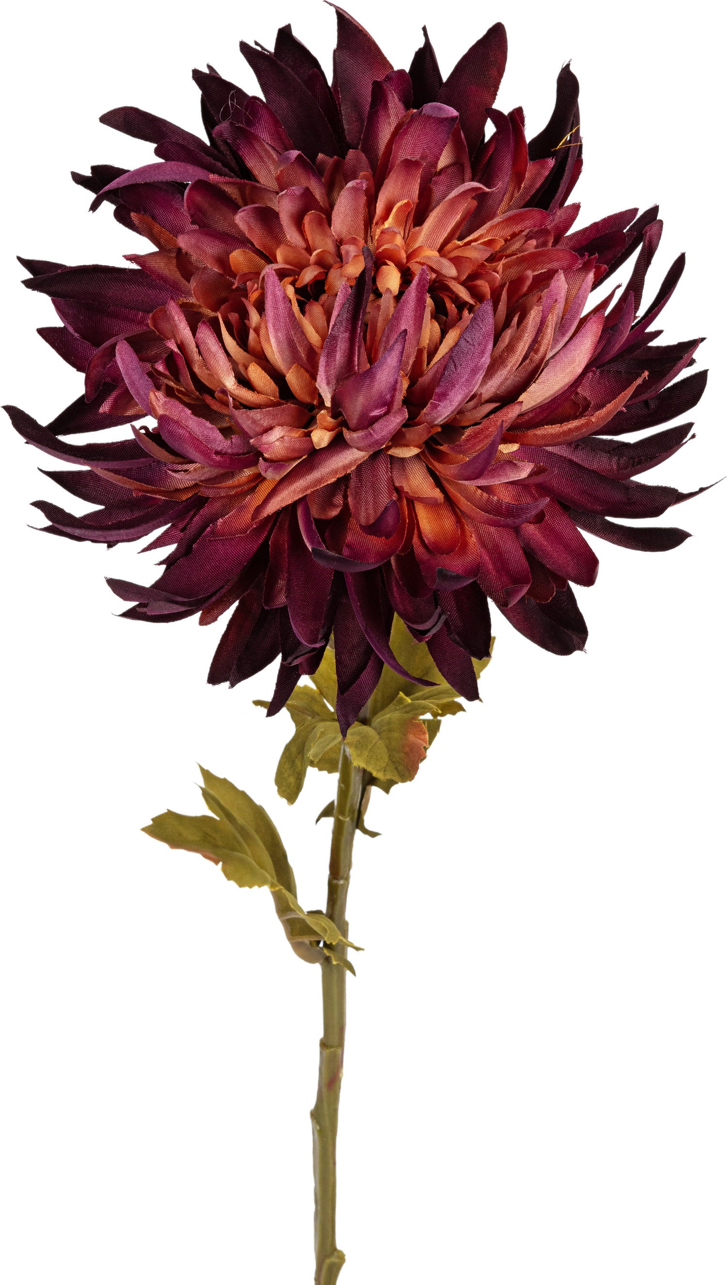 Louis Maes kunstbloem Chrysant donker rood 62 cm