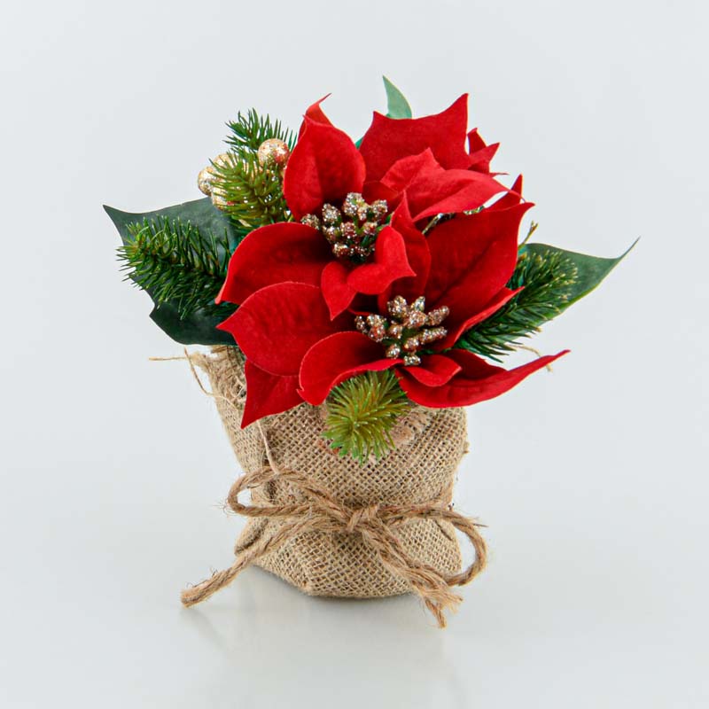 'Poinsettia' en pot rouge