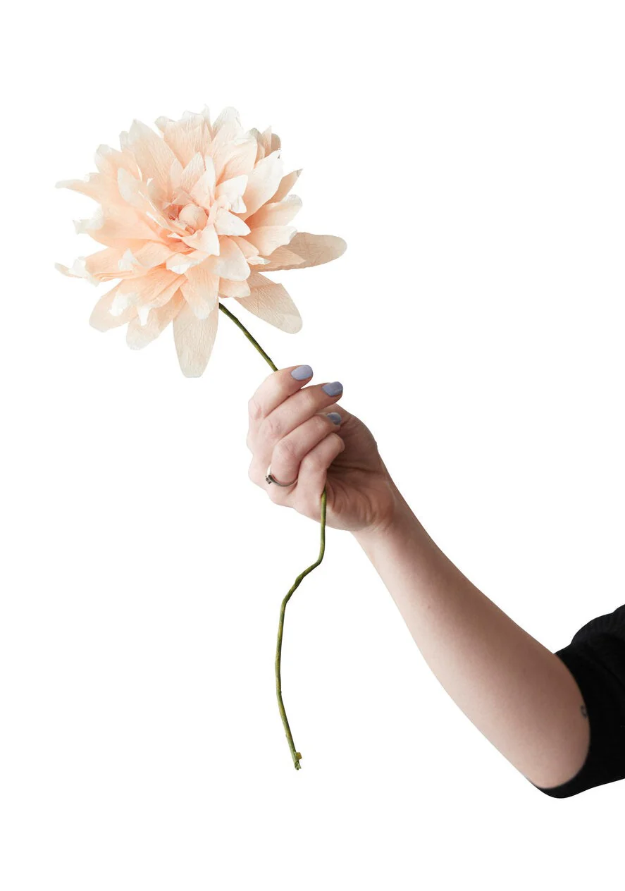 Studio About  Grand Dahlia papirblomst - Nude