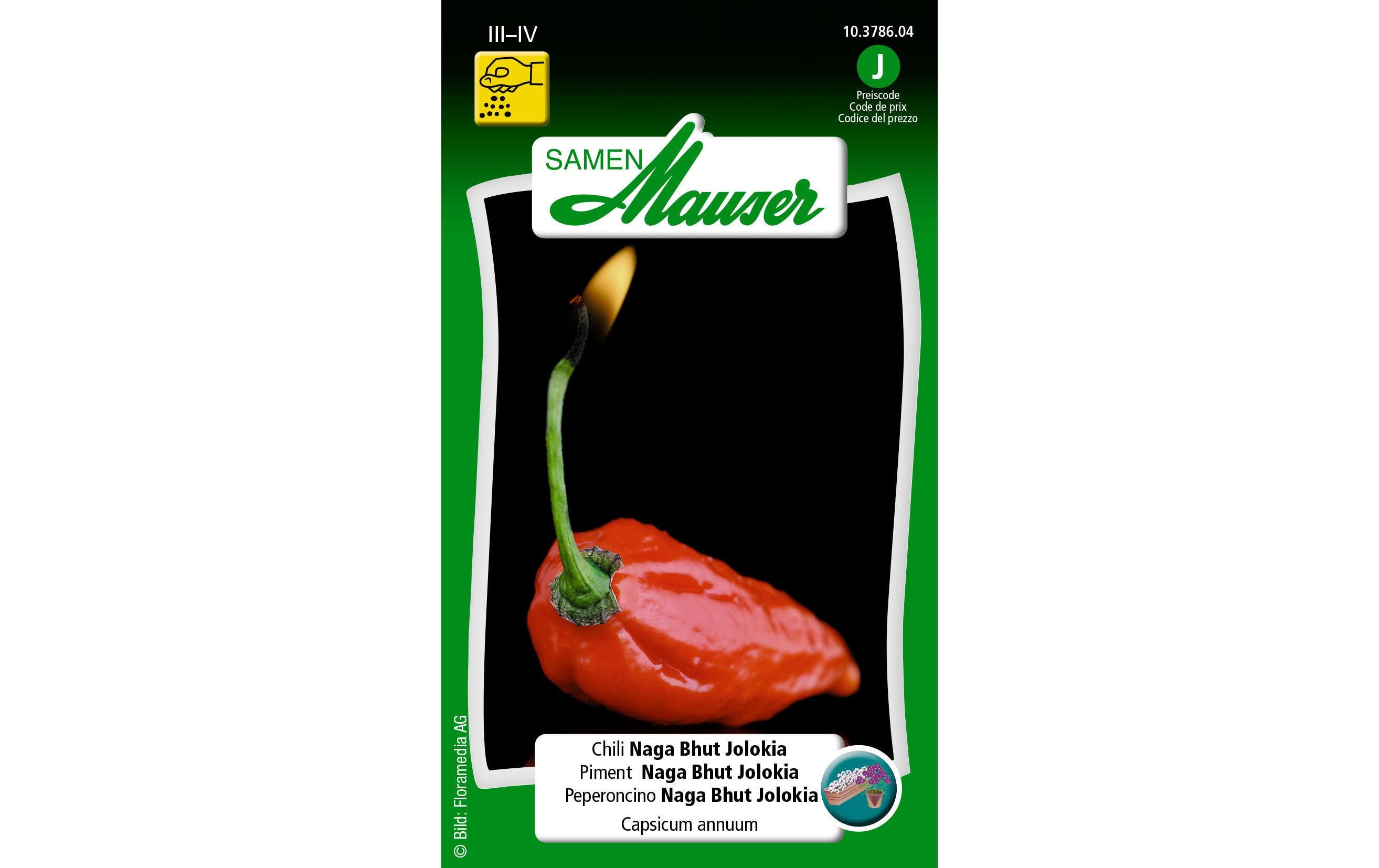 Samen Chili Naga Bhut JolokiaGemüsesamen
