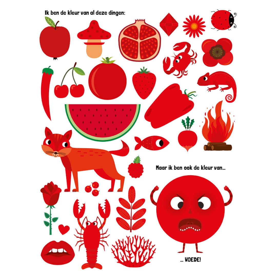 Rebo mijn grote boek vol kleuren