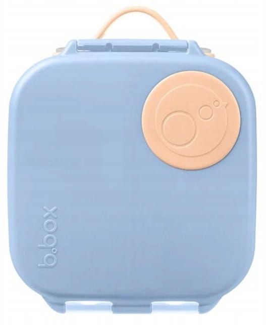 Mini Lunchbox - Feeling Peachy