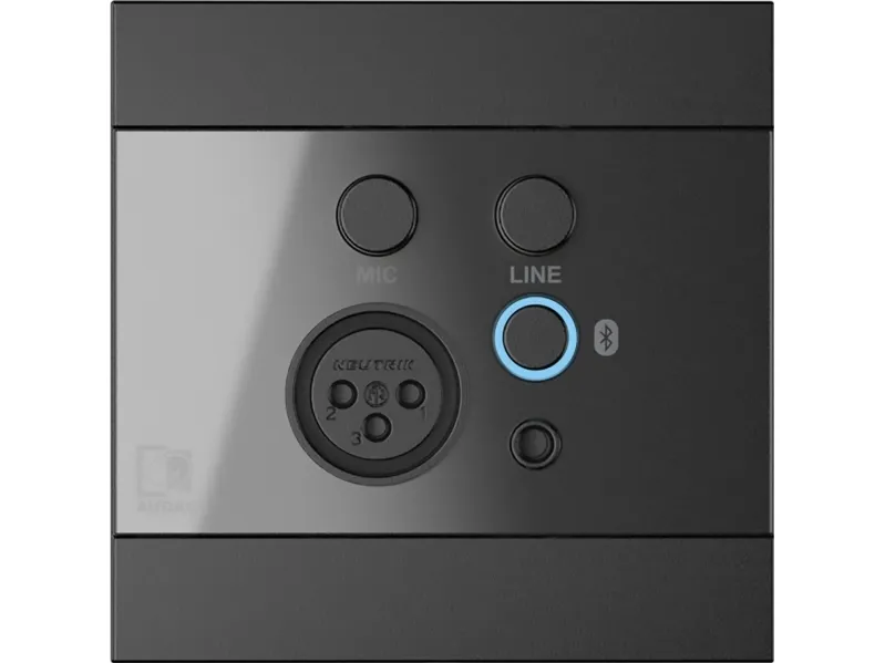 Audac WP225 - Audioforlængerkabel - Bluetooth
