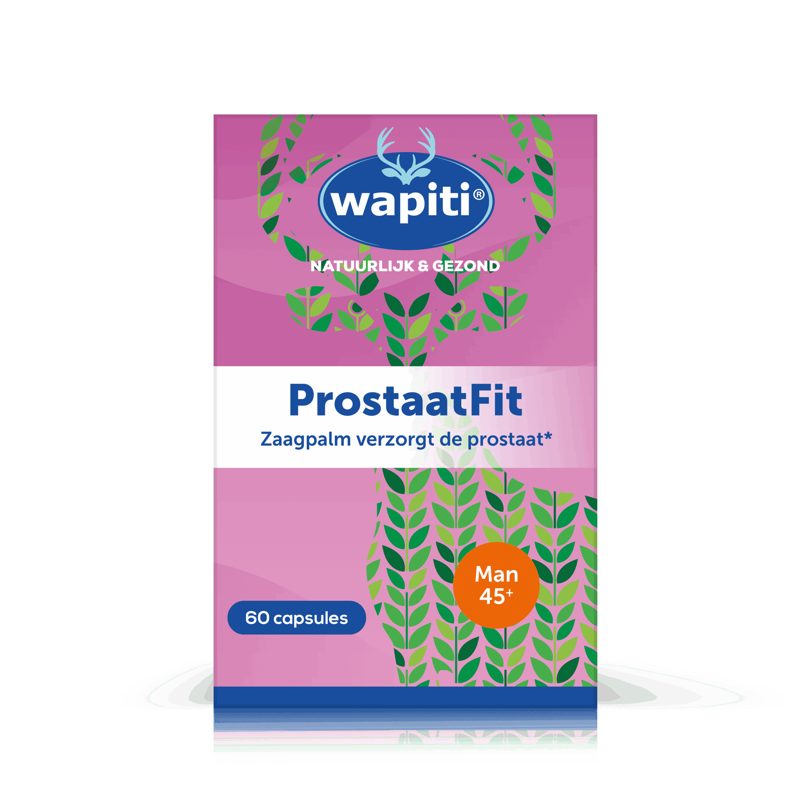 Wapiti Prostaat fit (60 capsules)