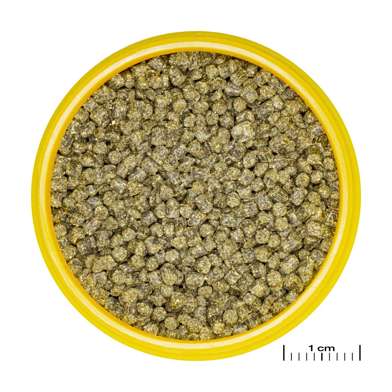 JBL PRONOVO Hauptfutter-Granulat für Garnelen S 100 ml