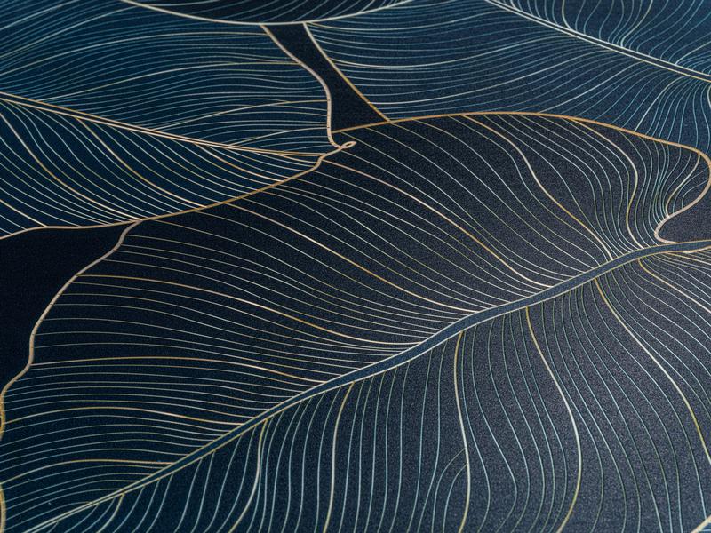 Wenko Toilettensitz Big Leaves Absenkautomatik, Blau/Grün WC-Sitz mit Relief