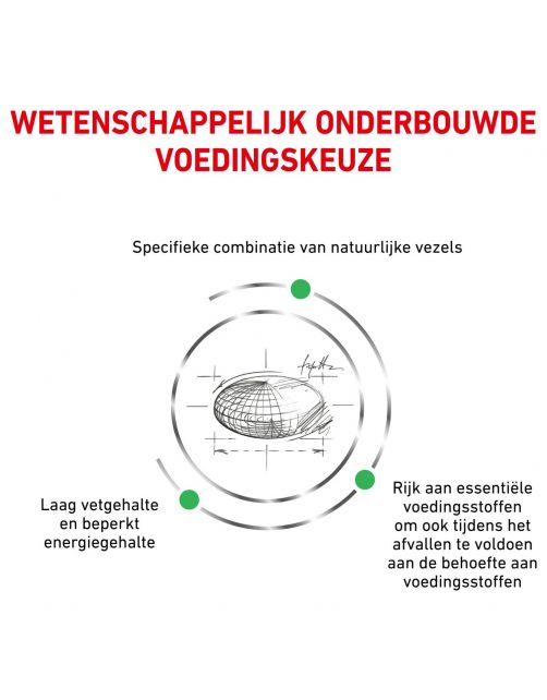Royal Canin Veterinary Diet Satiety Weight Management - Kattenvoer - 6 kg