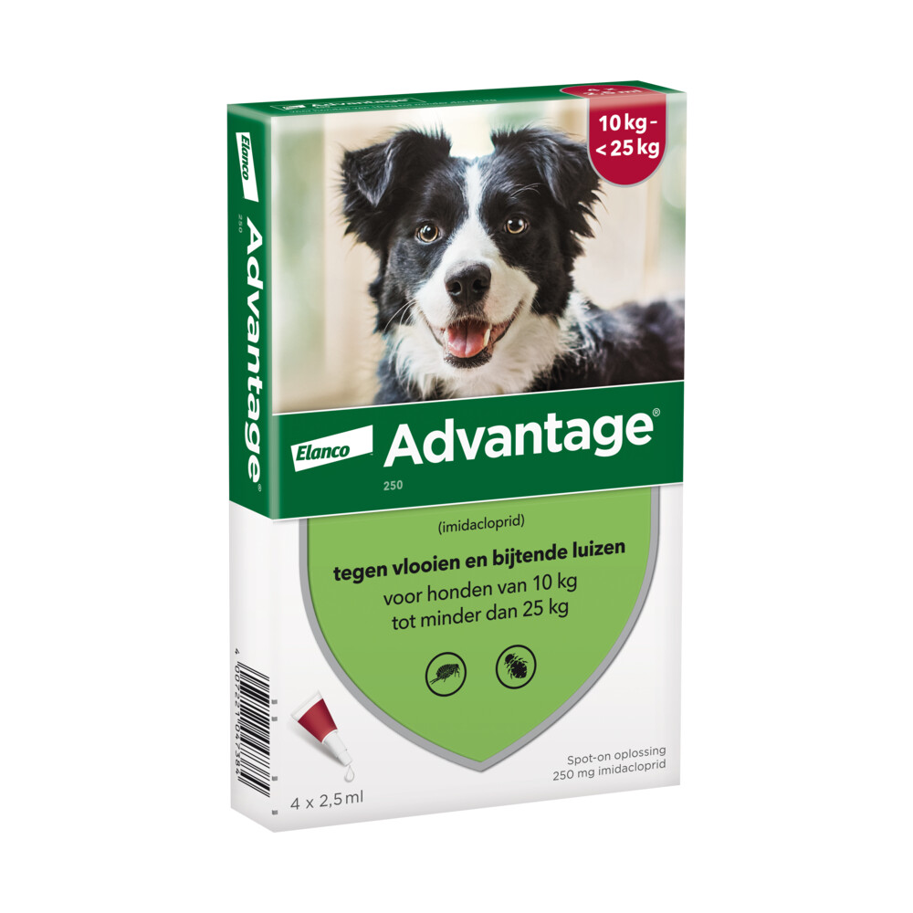 Advantage Anti Vlooiendruppels 250 Hond 10 - 25 kg4 pipetten