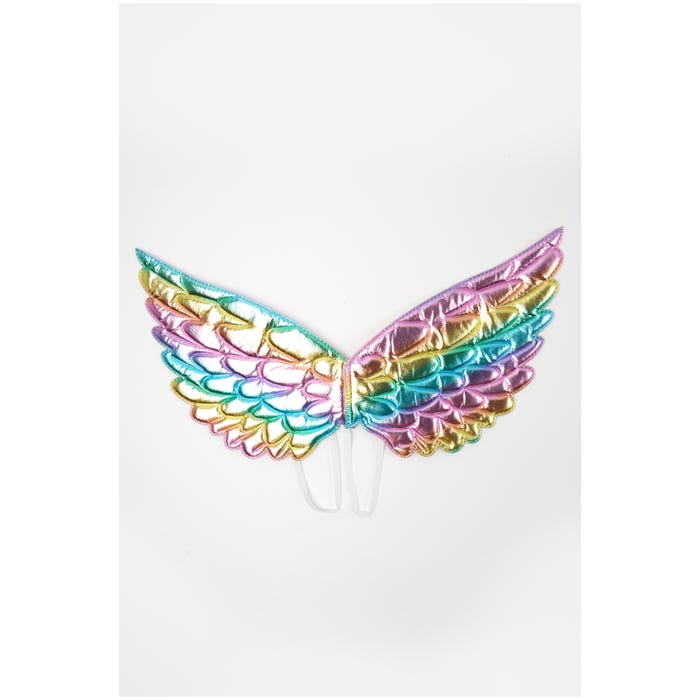 Veritas-Kids vleugels regenboog