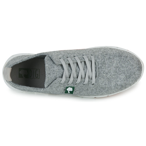 Dream in Green - SOTISE Gris / Claro