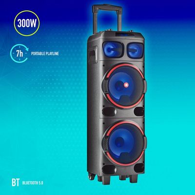 NGS WILD DUB 1 - enceinte de soirée - sans fil - avec batterie intégrée - noir