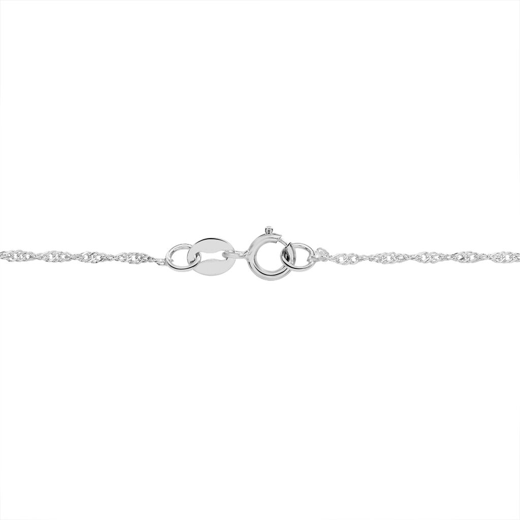 Chaîne Imanie Maille Singapour Or Blanc