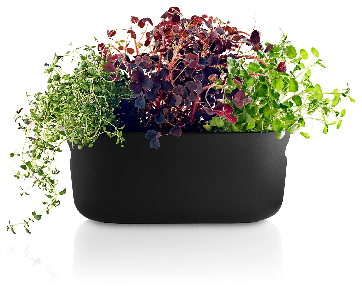 Eva Solo  Selvvandende herb organiser - sort