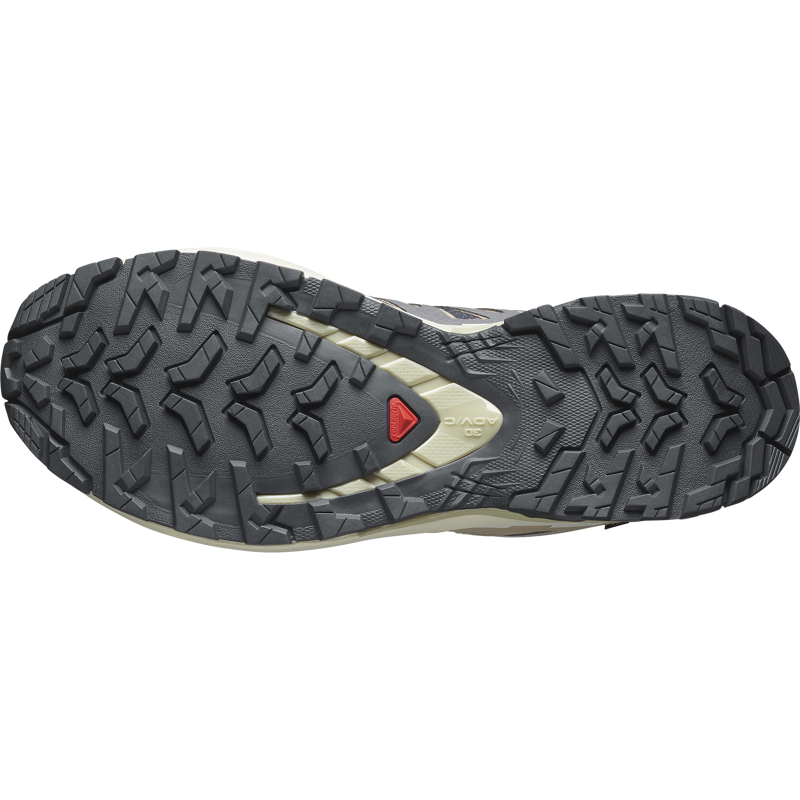 XA PRO 3D V9 GTX Trailrunningschoen