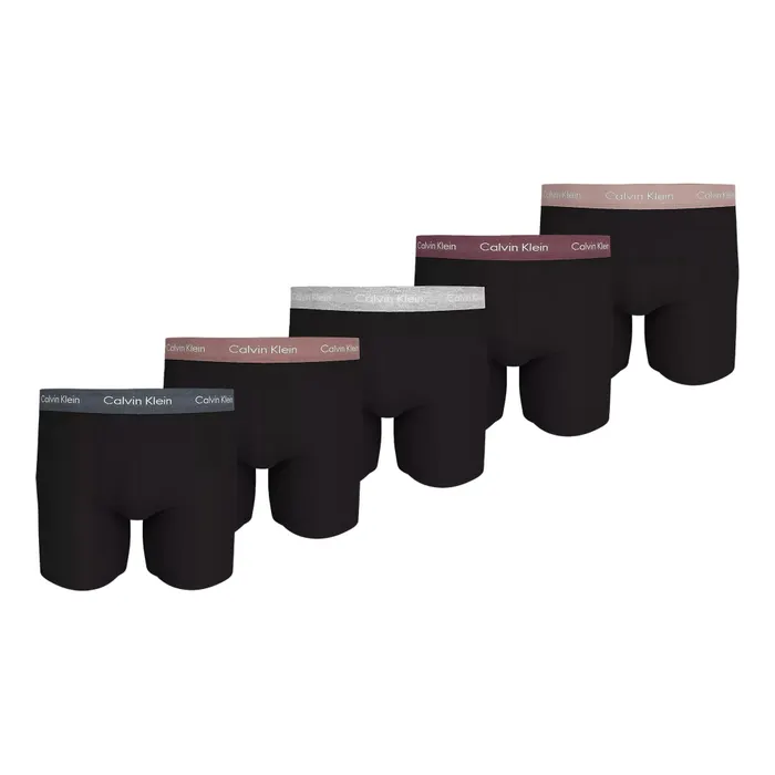 Calvin Klein Brief Boxershorts Heren (5-pack)