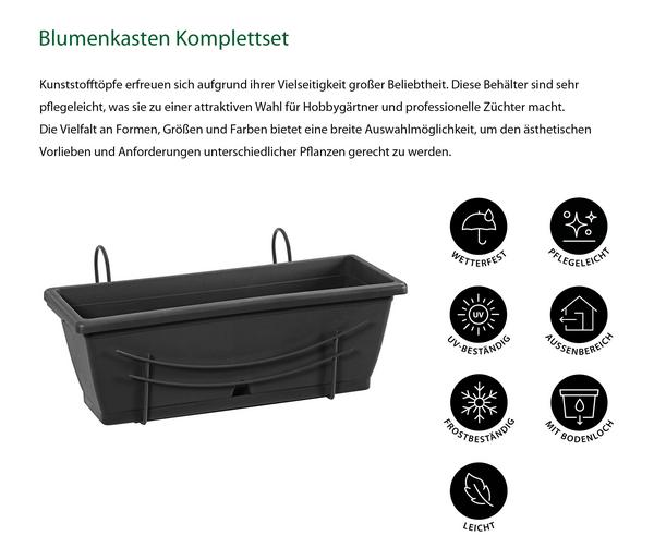 Dehner Blumenkasten-Komplettset inkl.