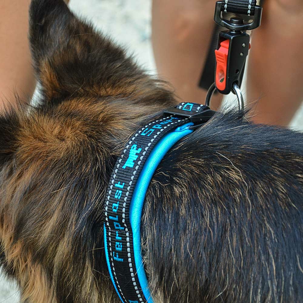 Ferplast collier pour chiens sport dog c25/55, poignée rembourée, ceinture réfléchissante, étiquette porte-nom, a: 45÷55 cm - b: