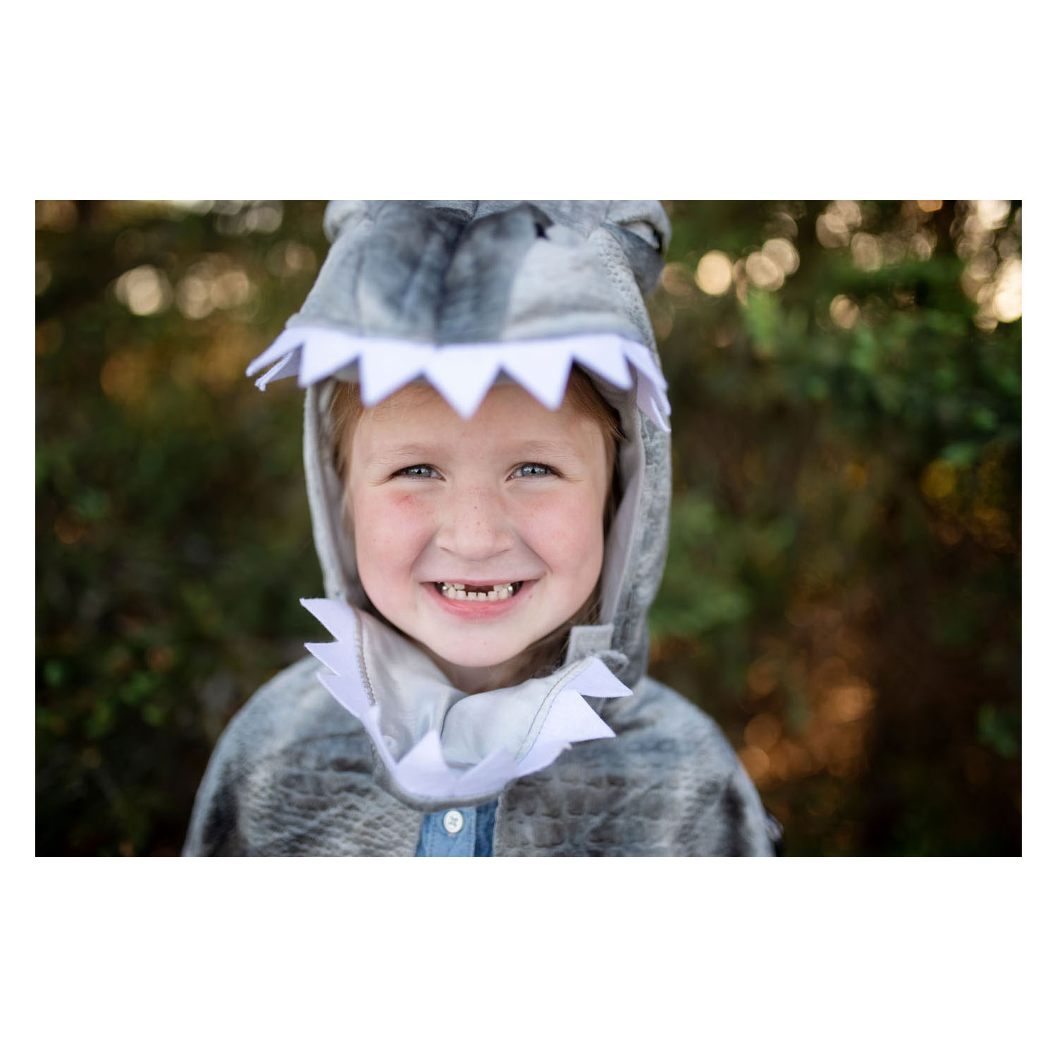 Cape Grandasaurus Spinosaurus, 4-6 jaar