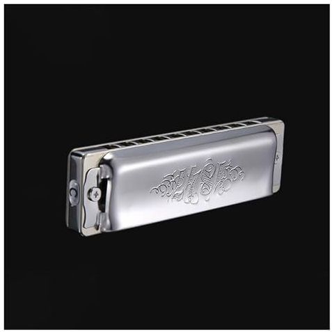 10-gaats bluesmondharmonica roestvrijstalen mondharmonica beginners mondharmonica(G)