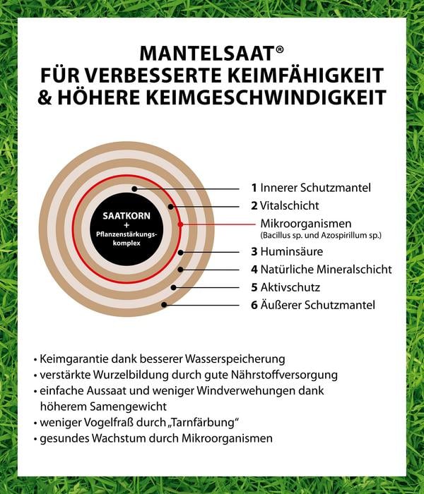 Dehner Bio Saatgut Spiel- und Sportrasen, 500