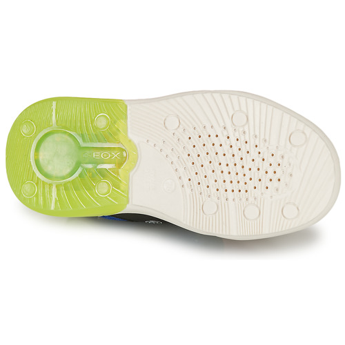 Geox - GRAYJAY BOY - Bleu / Lime