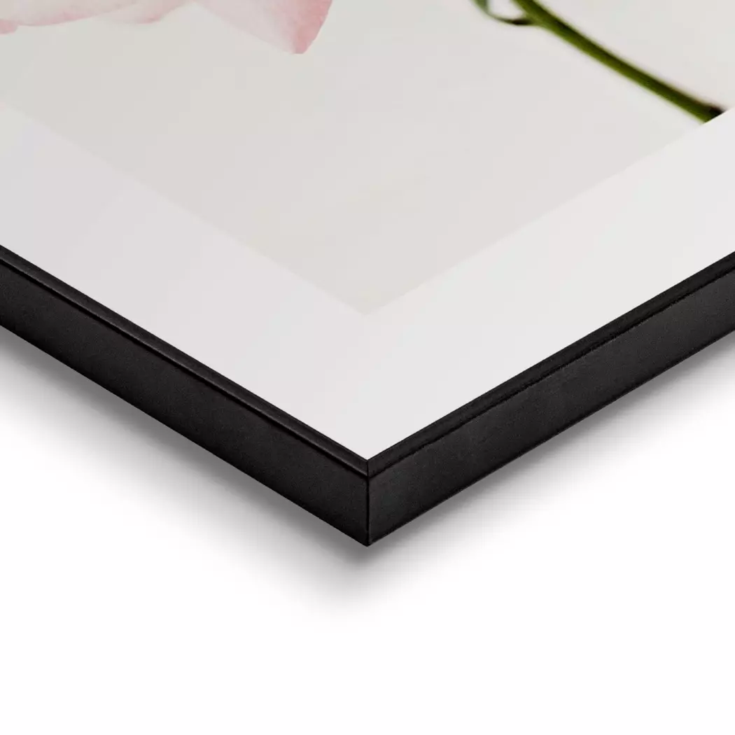 Wandbild 30 x 40 cm Pink Rose