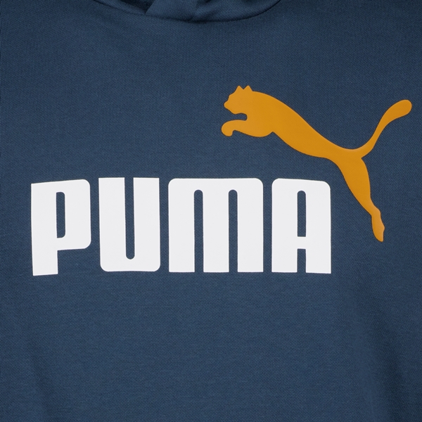 Puma Essentials Big Logo heren hoodie blauw