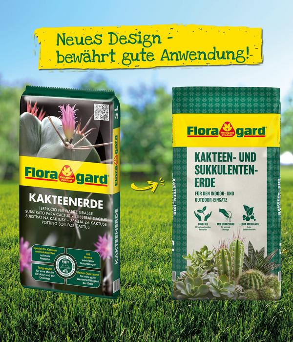 Floragard Kakteen- und Sukkulentenerde, 3 x 10