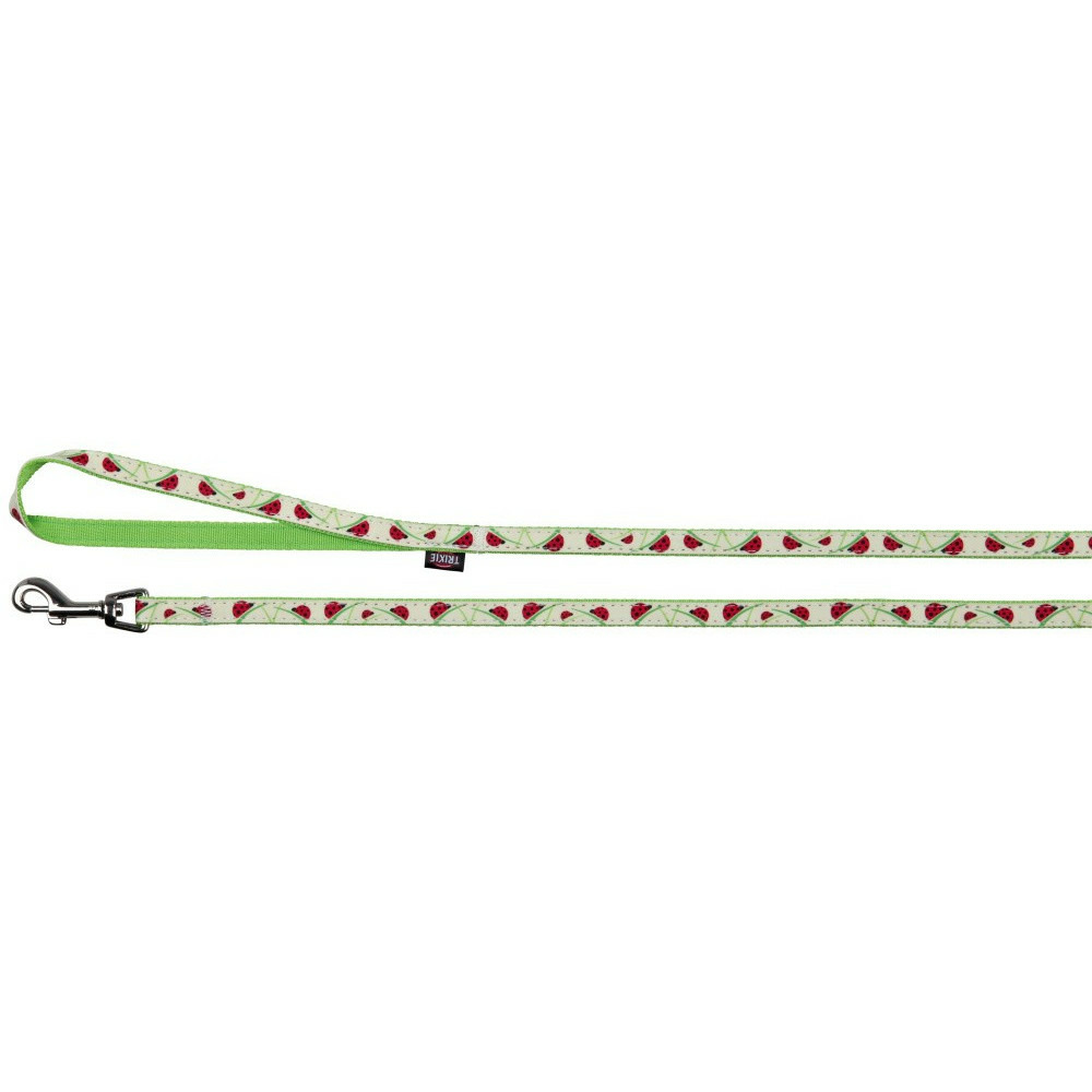 Collier réglable de 22 à 33 cm, couleur phosphorescent avec laisse chat