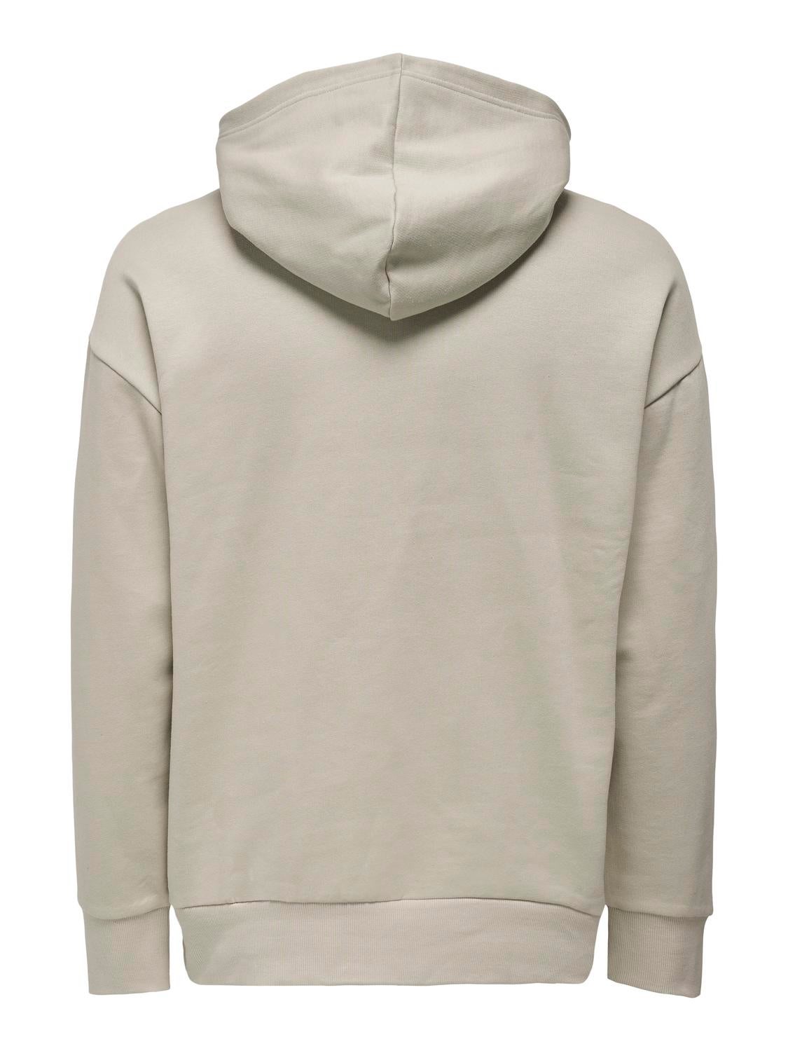 ONSDAN Sweatshirt Silver Lining
