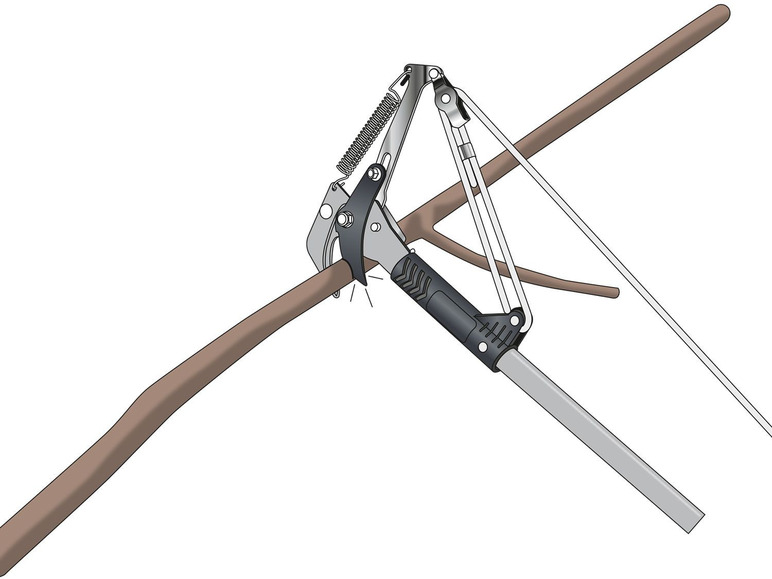 Telescopische boomschaar met zaag