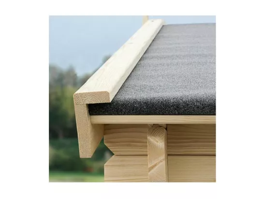 Abri de jardin toit plat avec auvent en bois 2,98 x 5,96 m