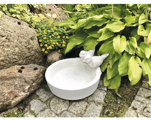Betonnen vogelbad 30 x 35 x 14,5 cm wit