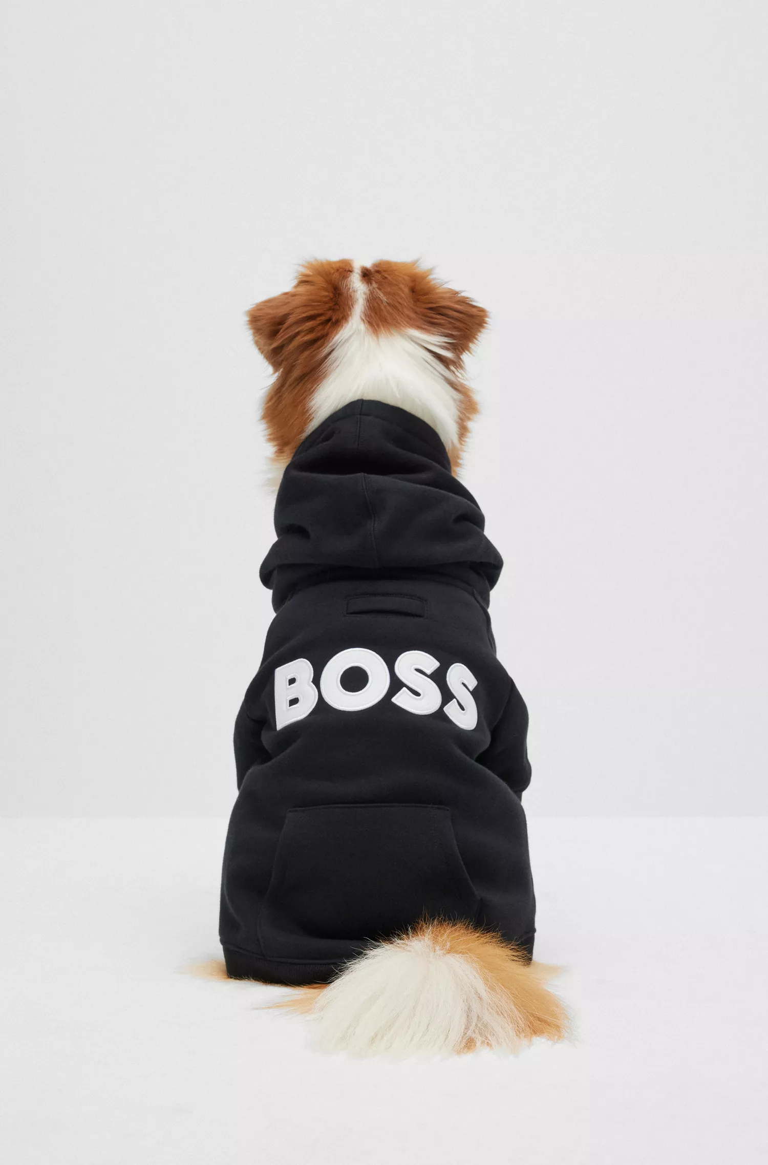 Moletom com capuz BOSS Black-Dog em mistura de algodão com logotipo contrastante.