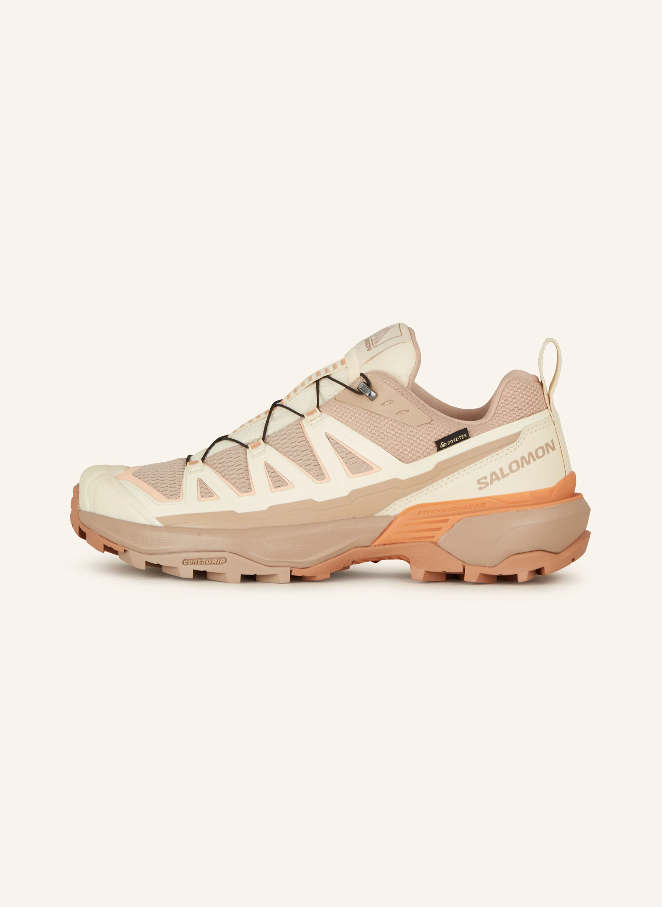 SALOMON Wanderschuhe X ULTRA 360 EDGE GTX