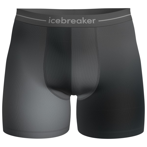 Icebreaker - Merino 150 Anatomica Boxers Transition - Sous-vêtement mérinos