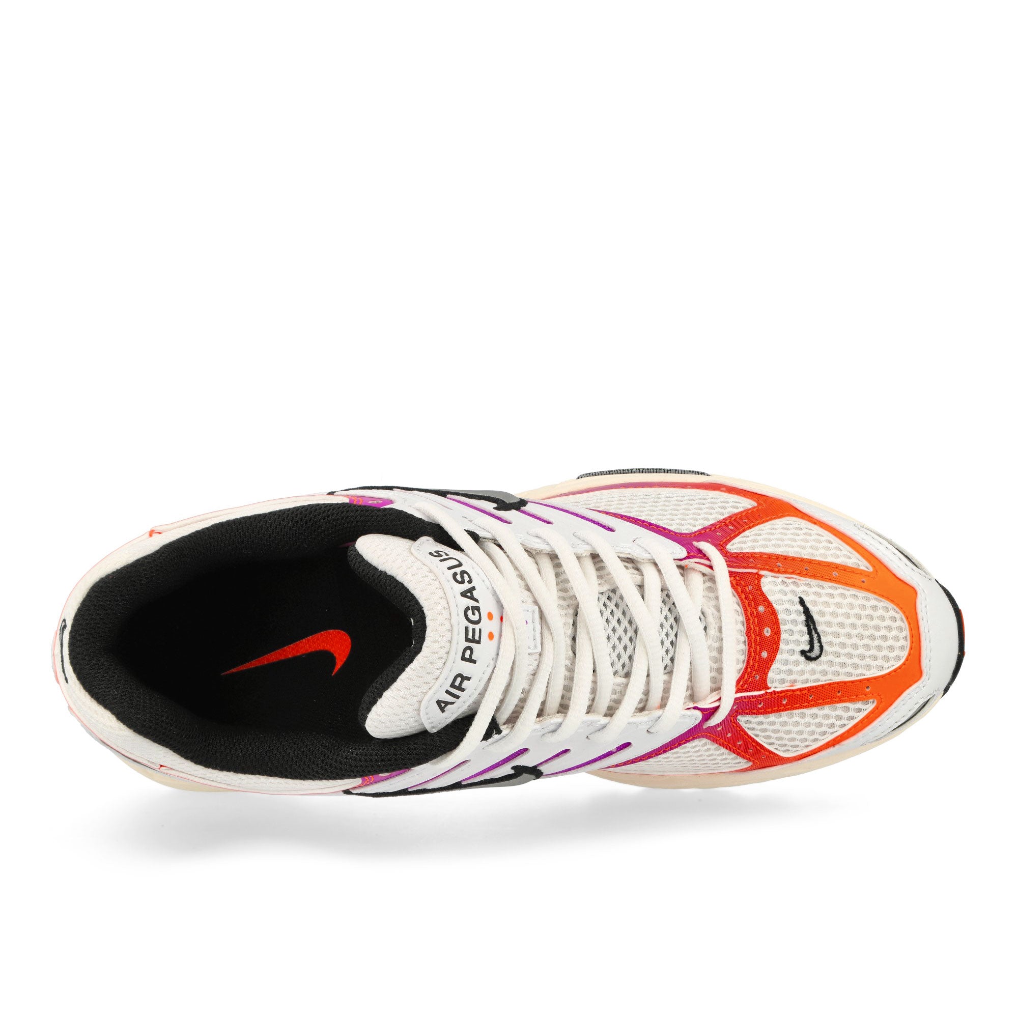 Nike<br>Air Pegasus 2005
