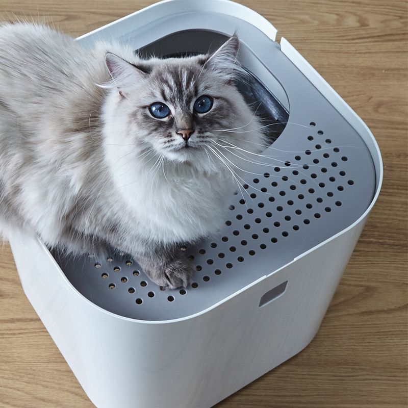 Maison de toilette Modko Modkat, blanc