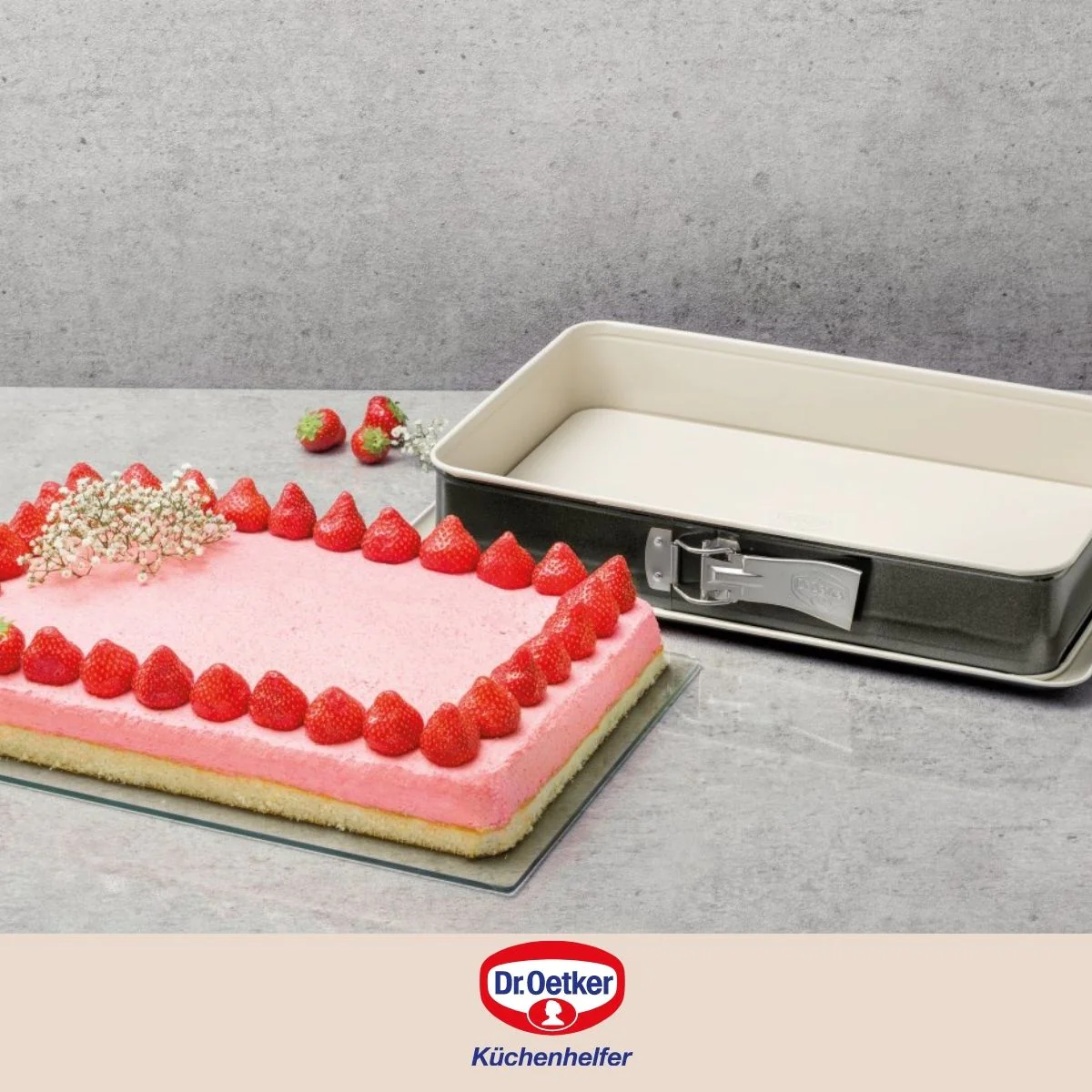 Moule à charnière rectangulaire 38 x 25 cm Back-Trend Dr. Oetker