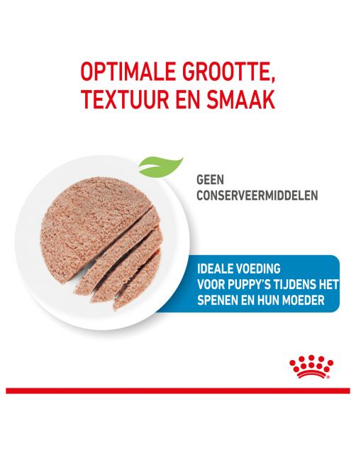 Royal Canin Starter Mousse Mother & Babydog - Puppy-Hondenvoer - 195 g