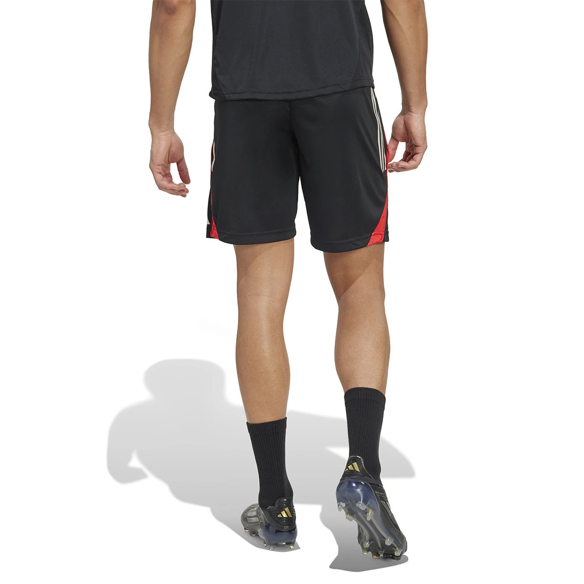 Calções adidas SL Benfica Training 2025-2026