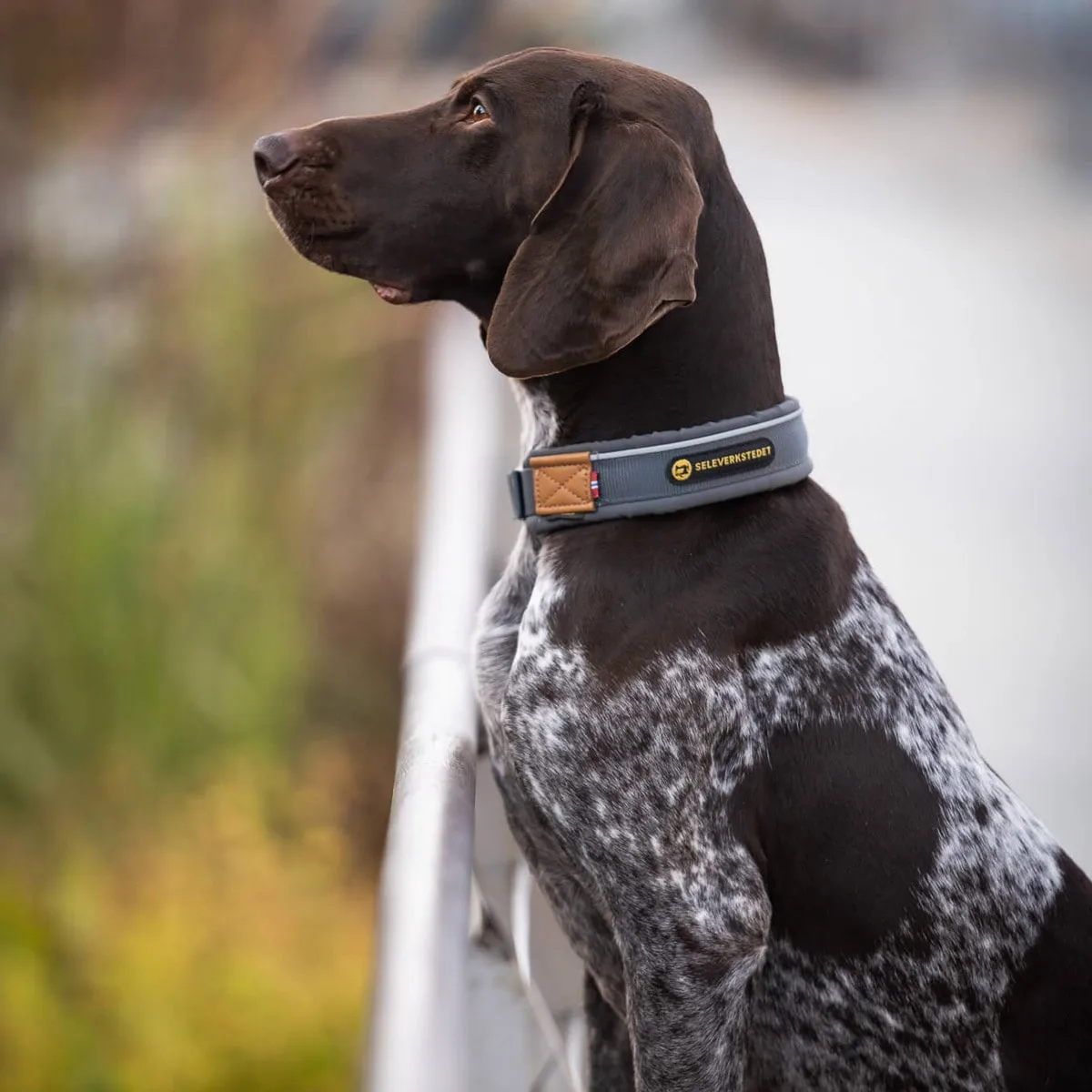 Seleverkstedet Seleverkstedet Unify dog collar Grå/brun
