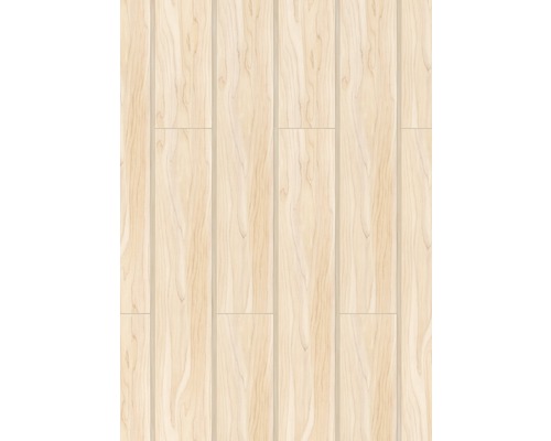 Decoratief paneel Quadro Plus Alaska berk 12x200x1200 mm