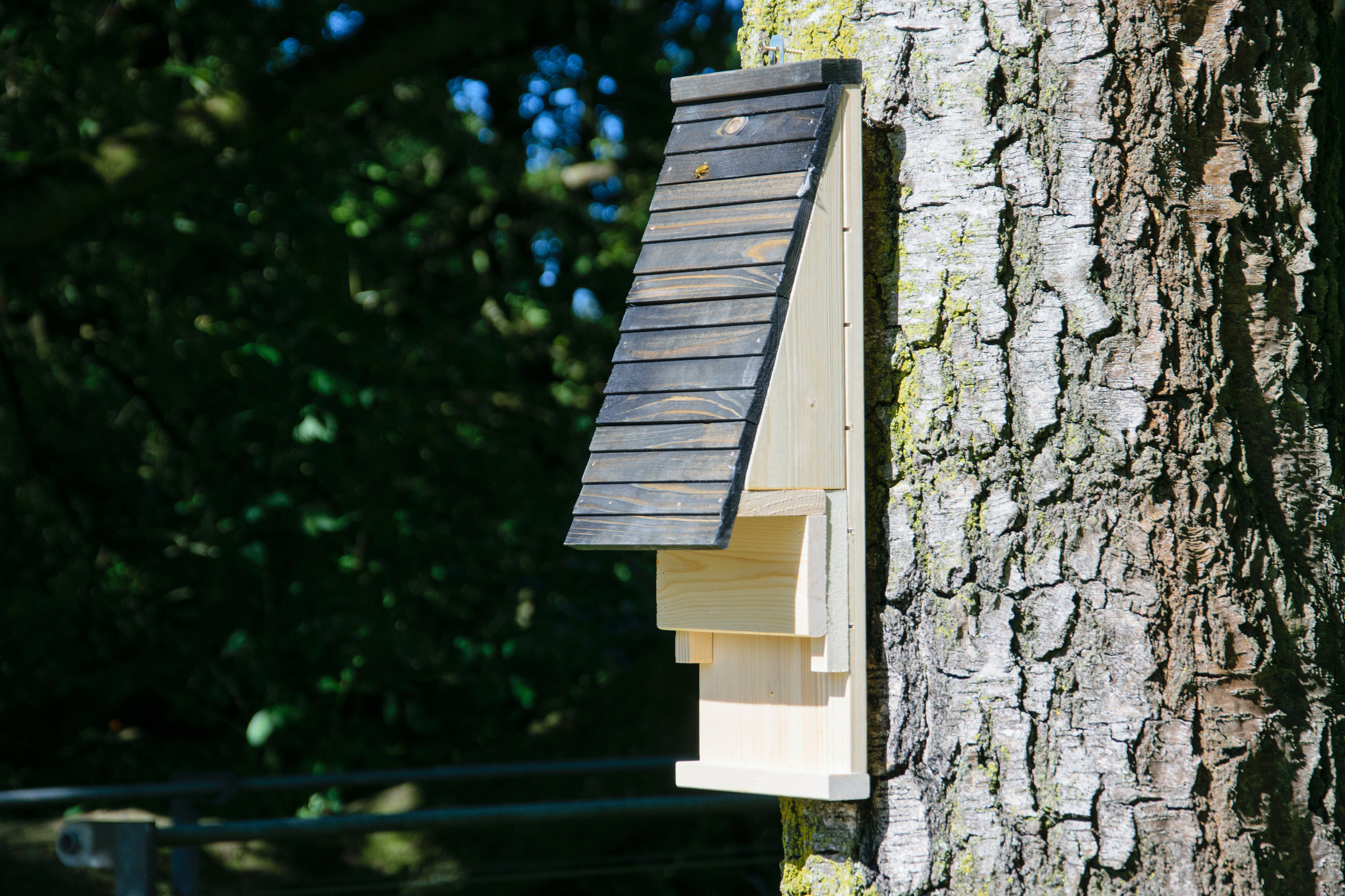 Fledermauskasten mit Belüftungsschlitzen, Nisthilfe zum Aufhängen