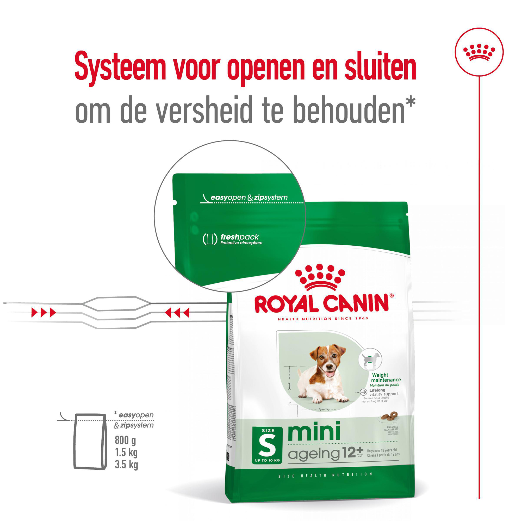 Royal Canin Mini Ageing 12+ - Hondenvoer