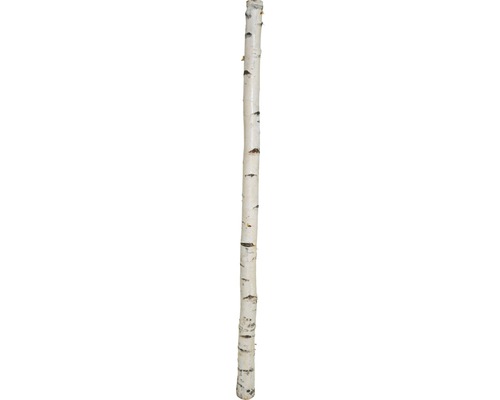 Berkenstam Ø 8 cm 180 cm