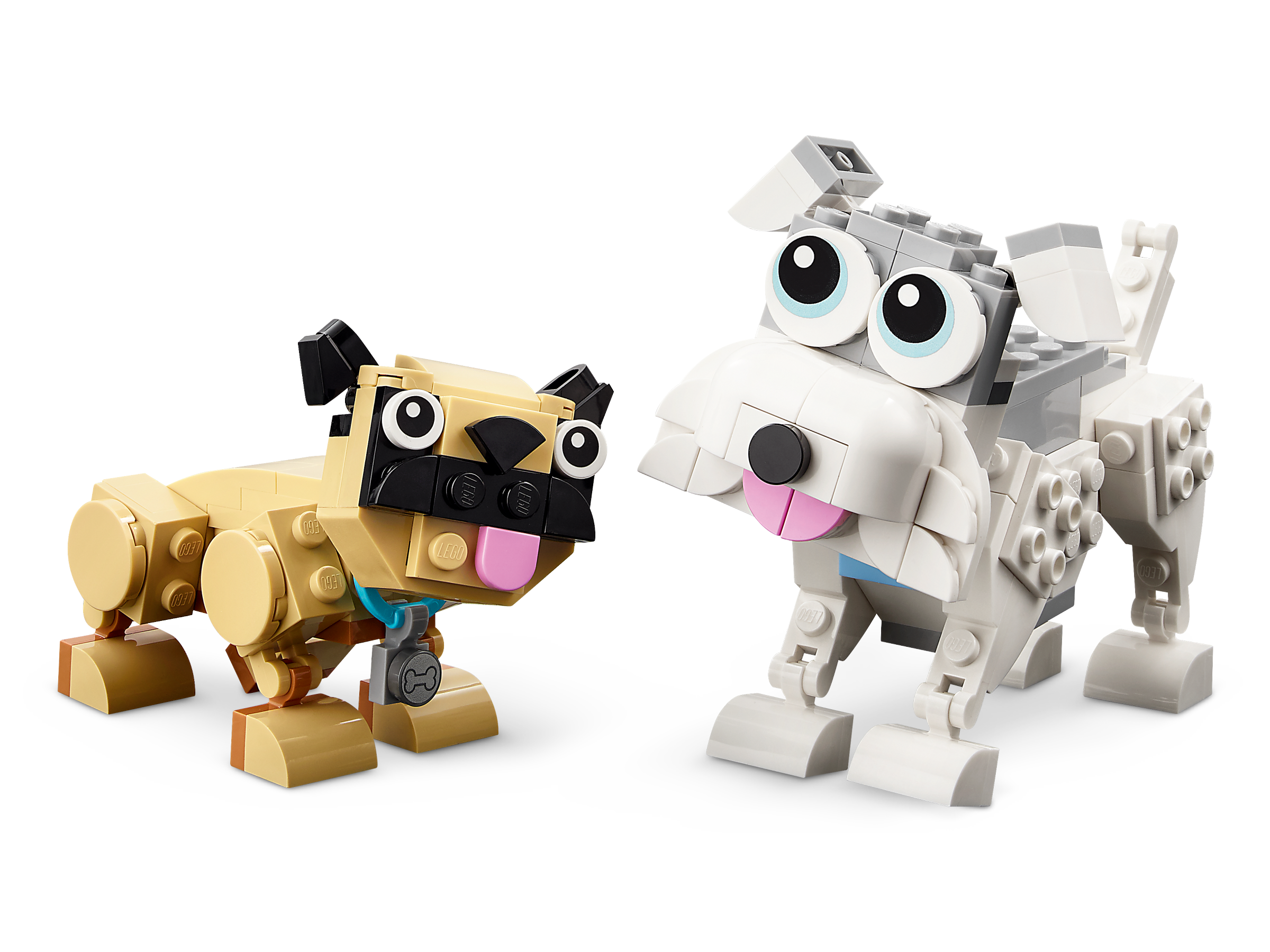 Cães adoráveis 31137