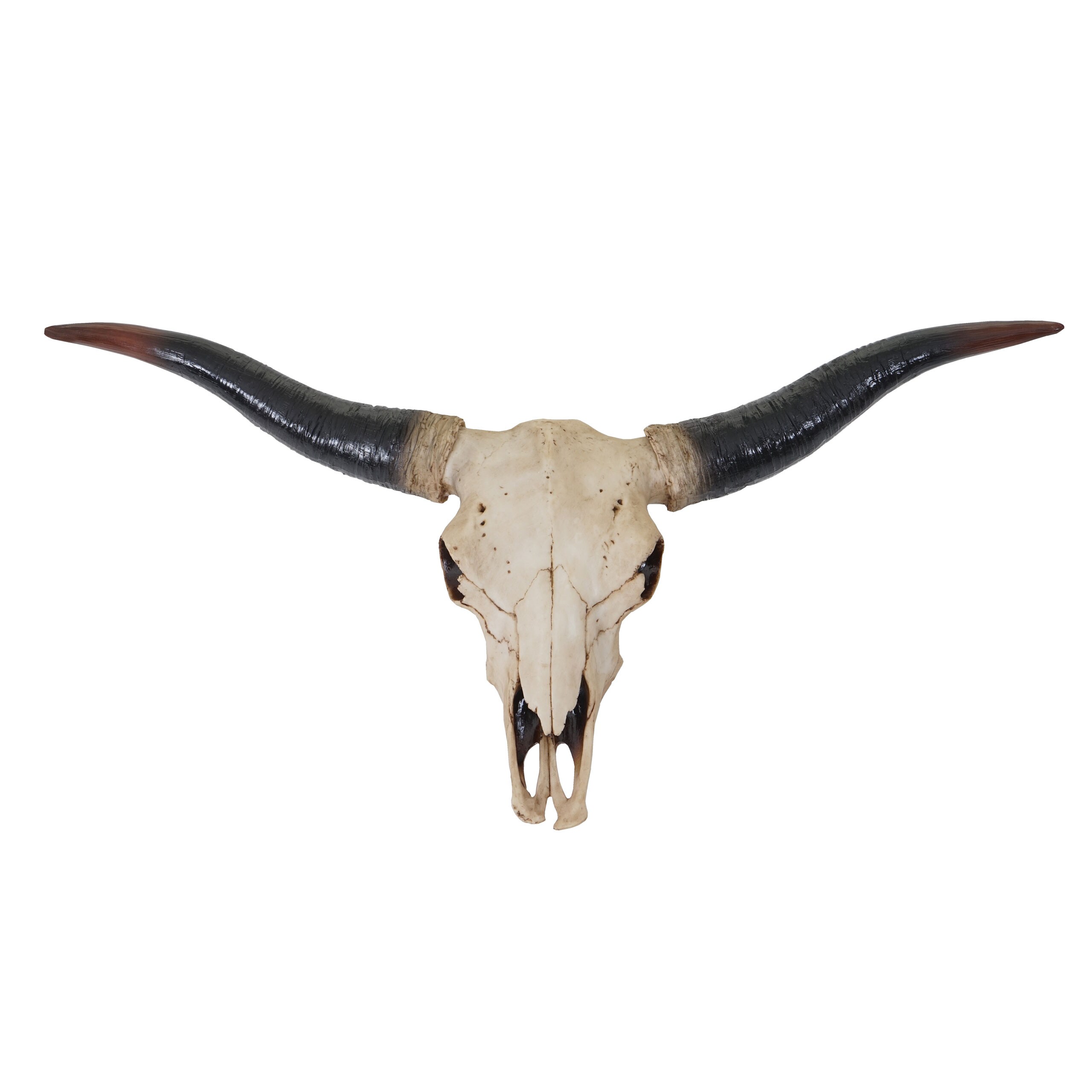 Deko Schädel 75cm MCW-A14, Polyresin Stier Bulle Longhorn Kopf Trophäe, In-/Outdoor natur
