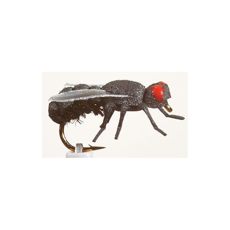 Mouche Jmc De Maison