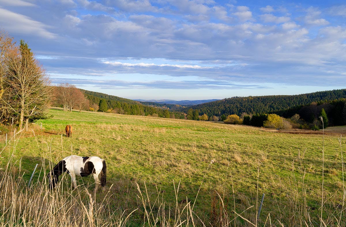 Wellnessurlaub am Rennsteig für 2 (1 Nacht)